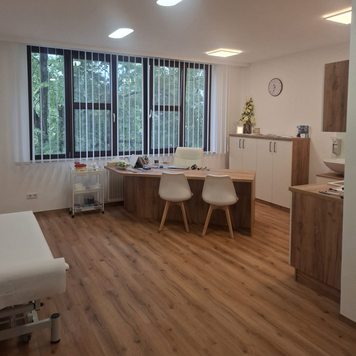 Neurologie Gänserndorf Weinviertel: Behandlungsraum in der Ordination von Neurologin Dr. Jana Beck 